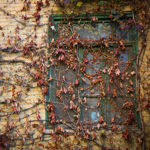 Нишапур – город Омара Хайяма