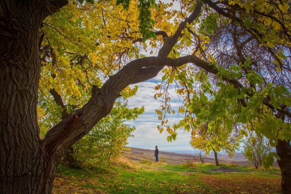 Нишапур – город Омара Хайяма