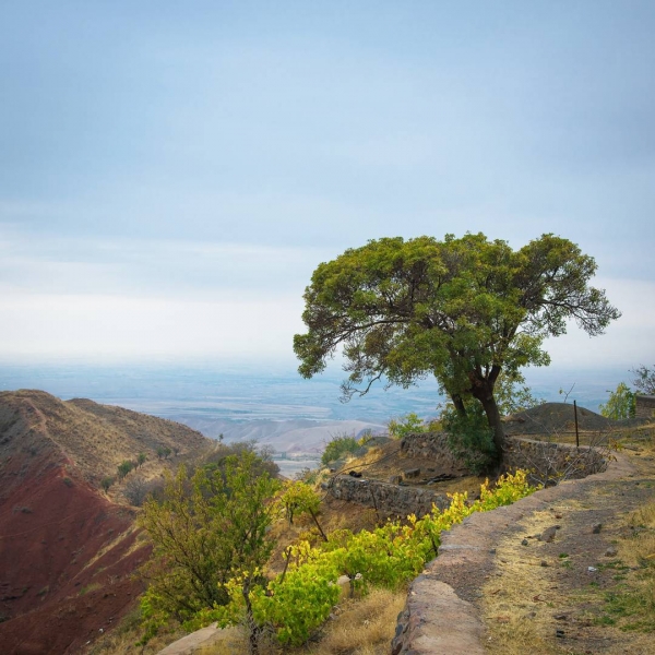 Нишапур – город Омара Хайяма