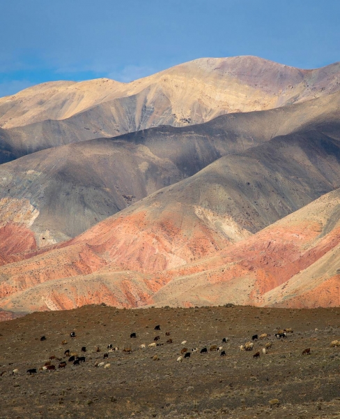 Нишапур – город Омара Хайяма