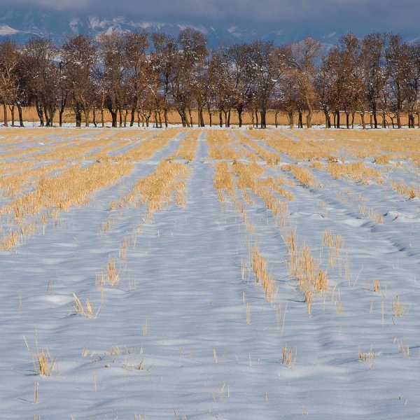 Нишапур – город Омара Хайяма