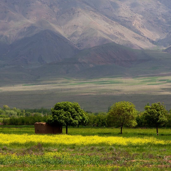 Нишапур – город Омара Хайяма