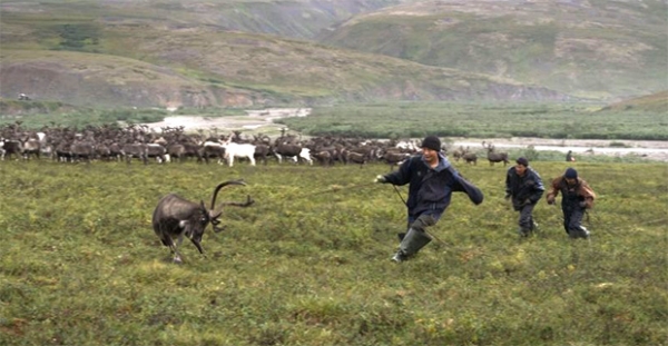 Мы не видим бойни — приходим в ресторан и едим мясо