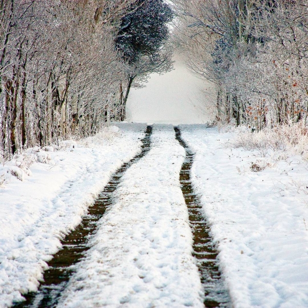 Нишапур – город Омара Хайяма