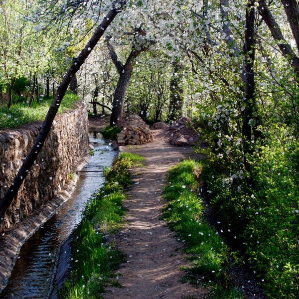 Нишапур – город Омара Хайяма