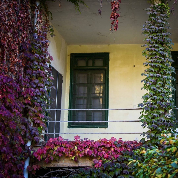 Нишапур – город Омара Хайяма