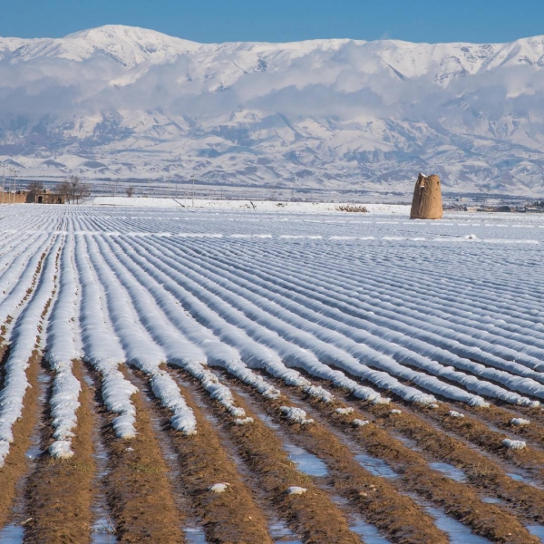 Нишапур – город Омара Хайяма
