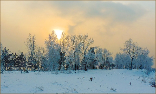 Зимнее солнце Всё дело в знаке!