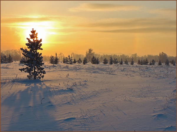 Тени Всё дело в знаке!