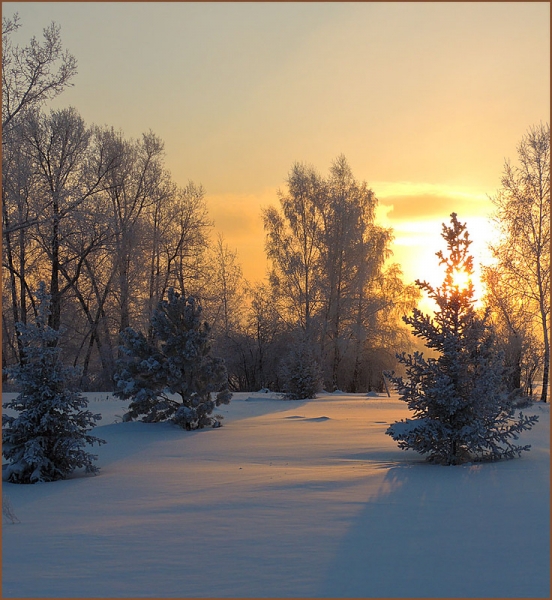 Зима Всё дело в знаке!