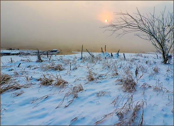 Травы Всё дело в знаке!