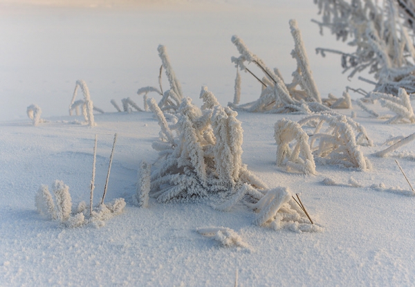 Иней Всё дело в знаке!