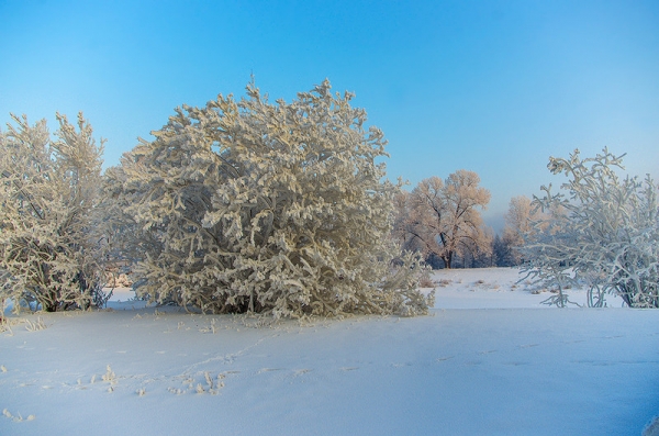 Куржак Всё дело в знаке!