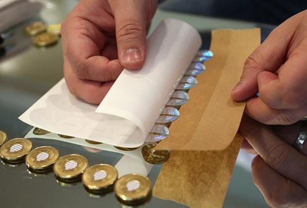 Цепи свободы