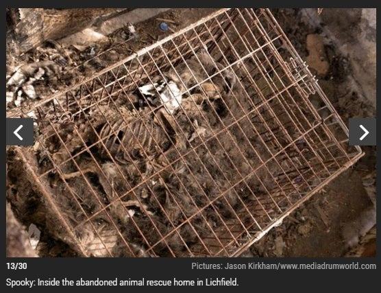 Горы костей и клетки: как выглядит, возможно, самый жуткий дом в мире