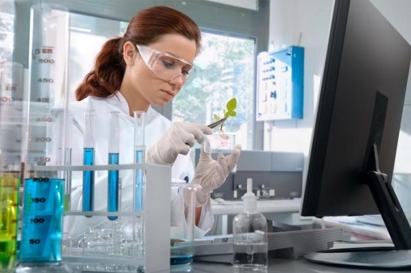 Фото: depositphotos.com Ученые создали язык программирования для живых клеток