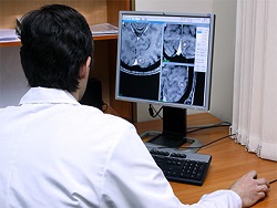 Защитники мозга оказались его врагами