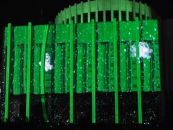 Французская весна открылась световым шоу в Киеве