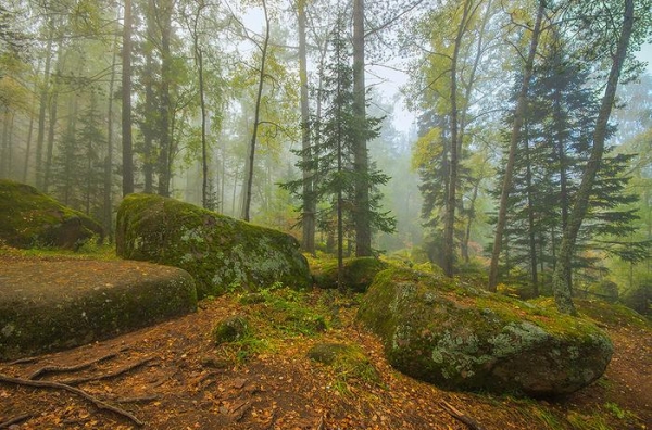 Дошли до Дикаря