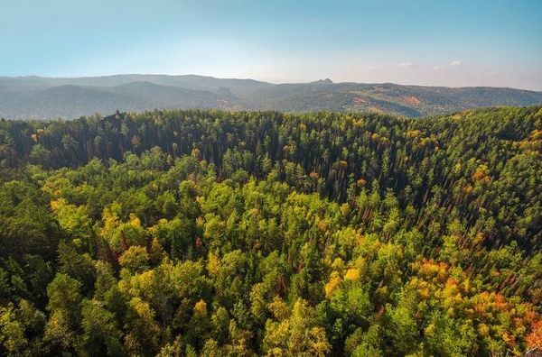 Дошли до Дикаря