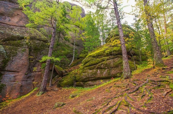 Дошли до Дикаря