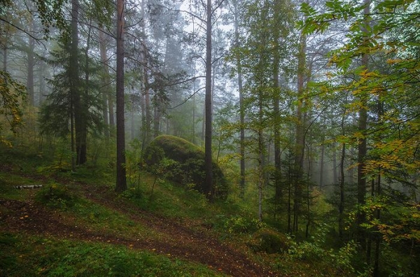 Дошли до Дикаря