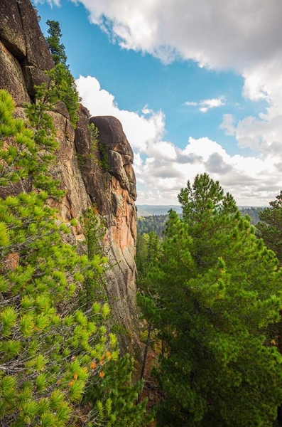 Дошли до Дикаря