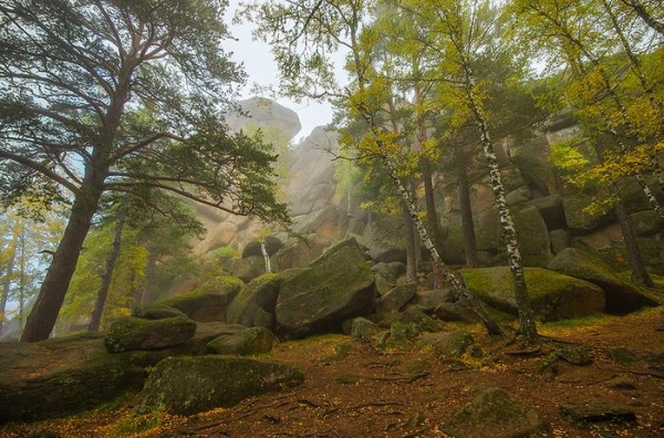 Дошли до Дикаря