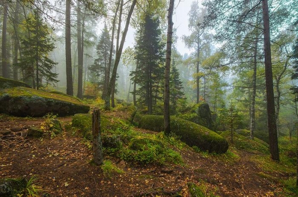 Дошли до Дикаря