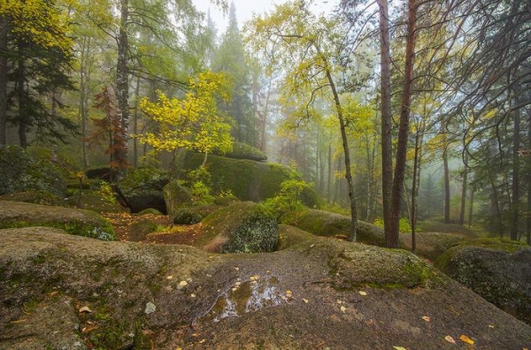 Дошли до Дикаря