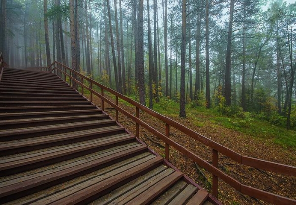 Дошли до Дикаря