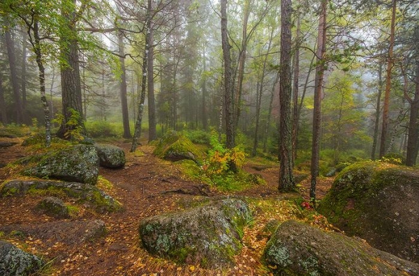 Дошли до Дикаря