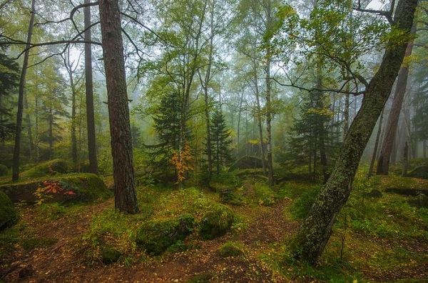 Дошли до Дикаря