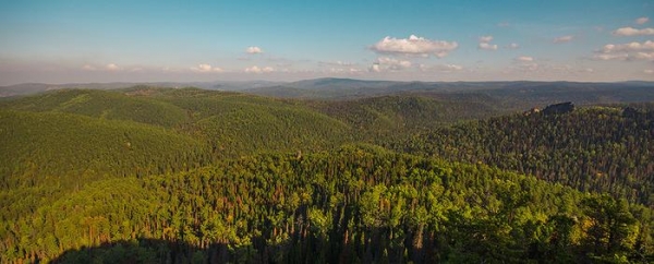 Дошли до Дикаря