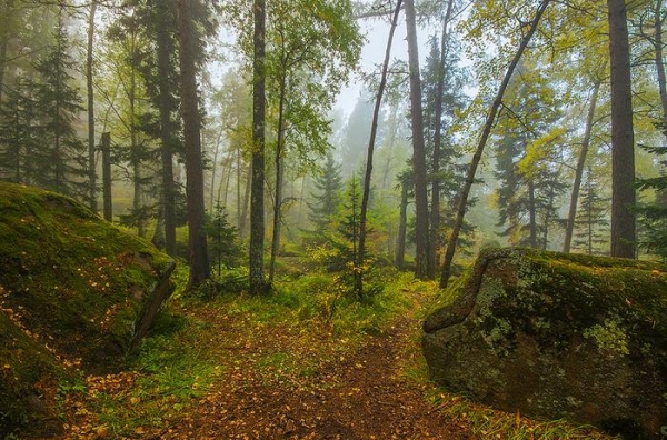 Дошли до Дикаря