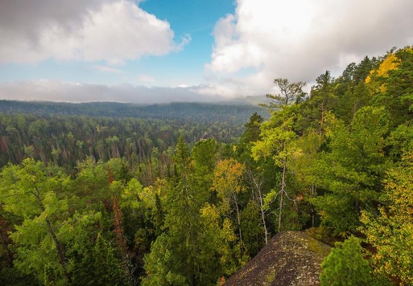 Дошли до Дикаря