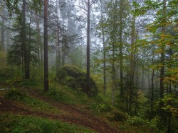 Дошли до Дикаря