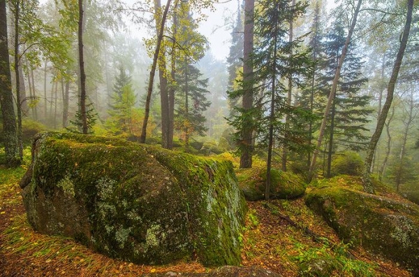 Дошли до Дикаря