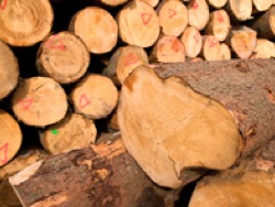 Бизнес-таланты куда-то испарились