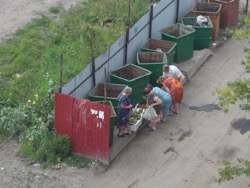 Тюменские пенсионеры копаются в помойках в поисках еды